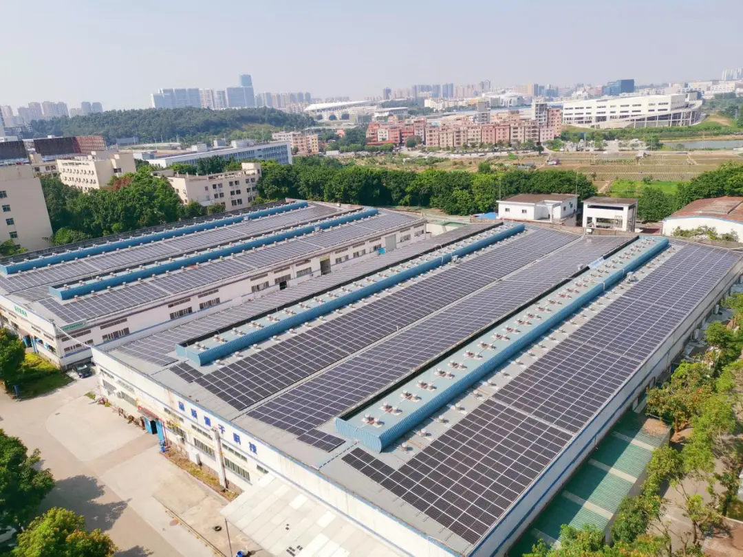 77体育-专属体育指南与赛事平台